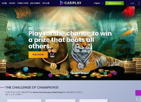 Casiplay Promotion